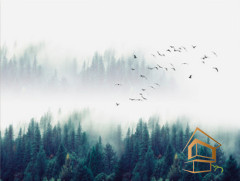 Натяжной потолок с фотопечатью Стены 020