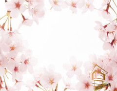 Натяжной потолок с фотопечатью Цветы 149