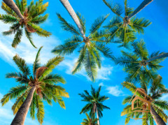 Натяжной потолок с фотопечатью Небо и объекты 080