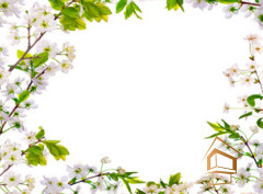 Натяжной потолок с фотопечатью Цветы 150