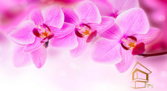 Натяжной потолок с фотопечатью Цветы 033