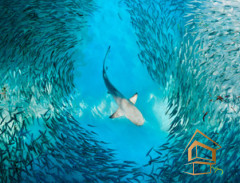 Натяжной потолок с фотопечатью Подводный мир 039