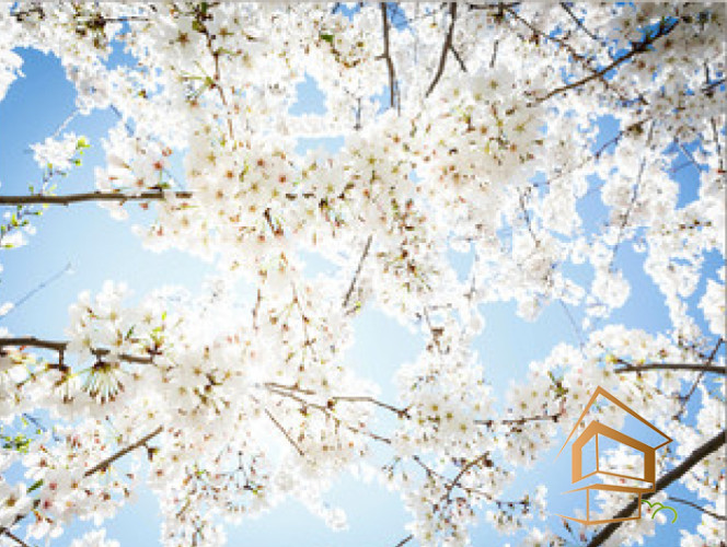 Натяжной потолок с фотопечатью Небо и объекты 081 - -