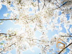 Натяжной потолок с фотопечатью Небо и объекты 081