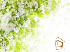 Натяжной потолок с фотопечатью Цветы 151