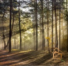 Натяжной потолок с фотопечатью Стены 023