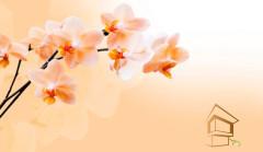 Натяжной потолок с фотопечатью Цветы 052