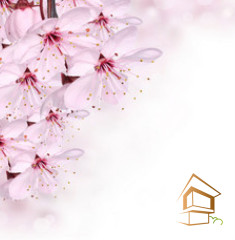 Натяжной потолок с фотопечатью Цветы 152