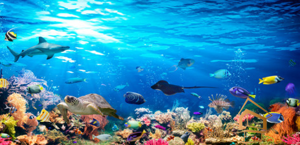 Натяжной потолок с фотопечатью Подводный мир 041 - -