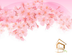 Натяжной потолок с фотопечатью Цветы 153