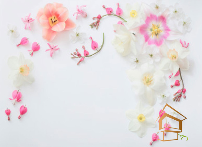 Натяжной потолок с фотопечатью Цветы 253 -  -