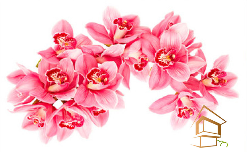 Натяжной потолок с фотопечатью Цветы 036 - -