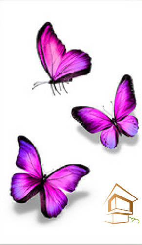 Натяжной потолок с фотопечатью Бабочки 031 - -