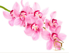 Натяжной потолок с фотопечатью Цветы 054