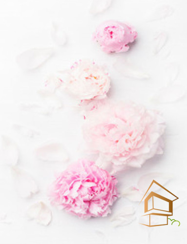 Натяжной потолок с фотопечатью Цветы 254 -  -