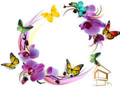 Натяжной потолок с фотопечатью Бабочки 032