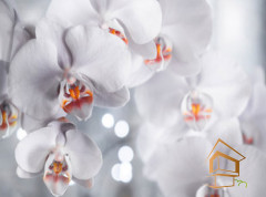 Натяжной потолок с фотопечатью Цветы 055