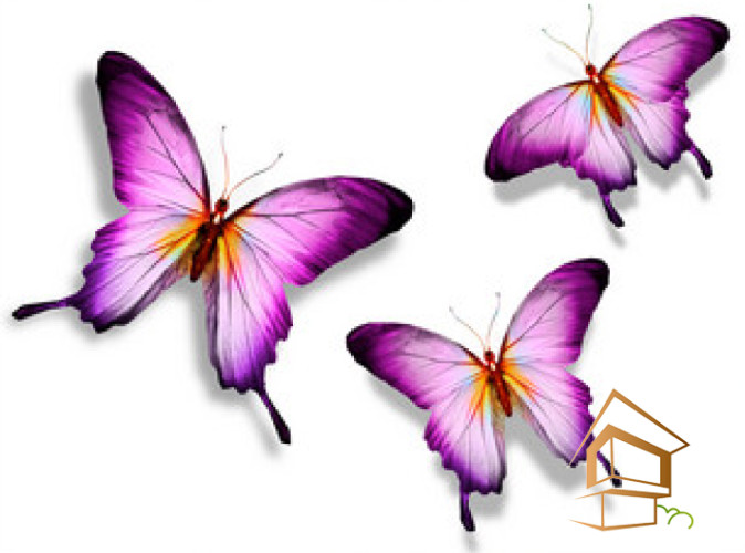 Натяжной потолок с фотопечатью Бабочки 033 -  - 