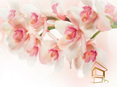 Натяжной потолок с фотопечатью Цветы 056