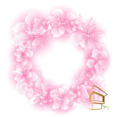 Натяжной потолок с фотопечатью Цветы 156