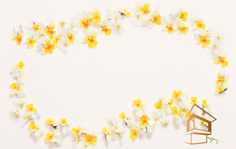 Натяжной потолок с фотопечатью Цветы 256 -  -