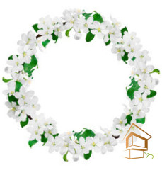 Натяжной потолок с фотопечатью Цветы 157