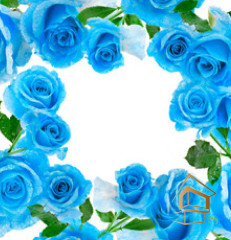 Натяжной потолок с фотопечатью Цветы 058