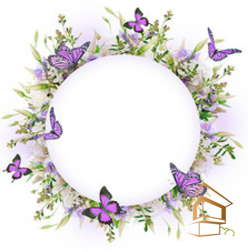 Натяжной потолок с фотопечатью Бабочки 036 -  - 