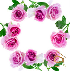 Натяжной потолок с фотопечатью Цветы 059