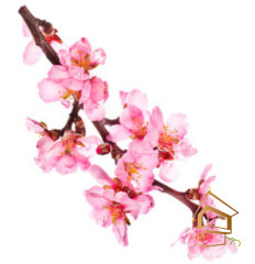 Натяжной потолок с фотопечатью Цветы 159