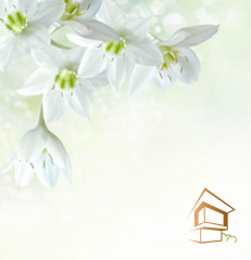 Натяжной потолок с фотопечатью Цветы 259