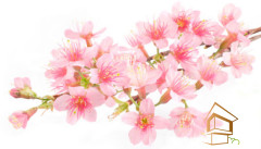 Натяжной потолок с фотопечатью Цветы 160