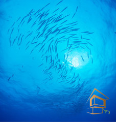 Натяжной потолок с фотопечатью Подводный мир 050