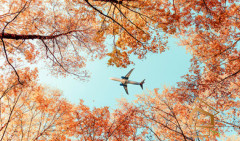 Натяжной потолок с фотопечатью Небо и объекты 092