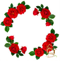 Натяжной потолок с фотопечатью Цветы 062