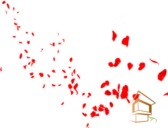 Натяжной потолок с фотопечатью Цветы 262 -  -