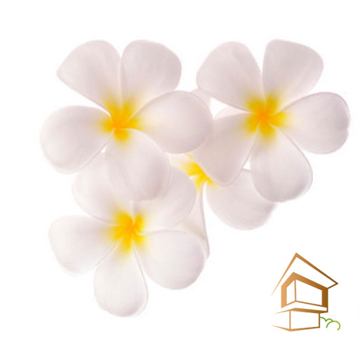 Натяжной потолок с фотопечатью Цветы 263 -  - 