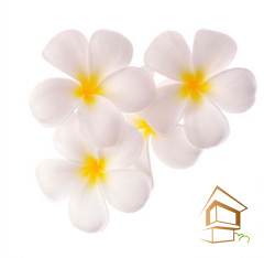 Натяжной потолок с фотопечатью Цветы 263