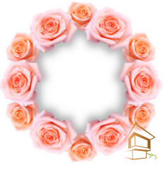 Натяжной потолок с фотопечатью Цветы 064