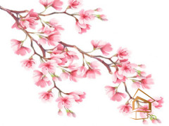 Натяжной потолок с фотопечатью Цветы 164