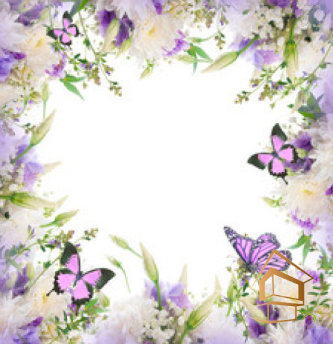 Натяжной потолок с фотопечатью Бабочки 002 -  - 