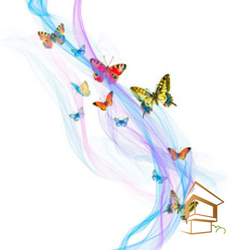 Натяжной потолок с фотопечатью Бабочки 042 -  - 