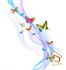 Натяжной потолок с фотопечатью Бабочки 042