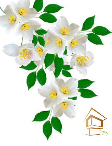 Натяжной потолок с фотопечатью Цветы 265 -  -