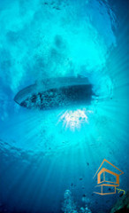 Натяжной потолок с фотопечатью Подводный мир 054