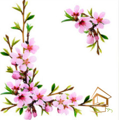 Натяжной потолок с фотопечатью Цветы 166