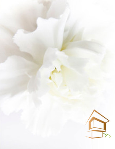 Натяжной потолок с фотопечатью Цветы 266 -  -