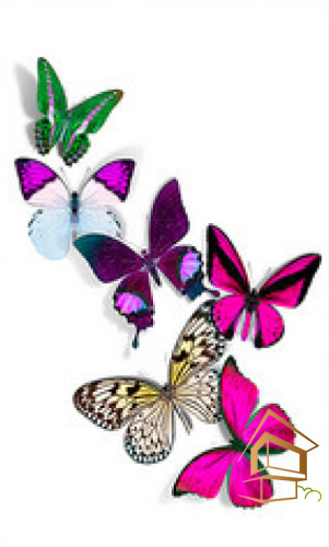 Натяжной потолок с фотопечатью Бабочки 004 -  - 