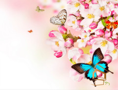 Натяжной потолок с фотопечатью Бабочки 044