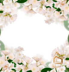 Натяжной потолок с фотопечатью Цветы 167